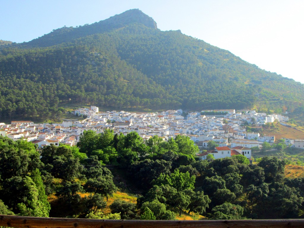 Foto: Vista de El Gastor - El Gastor (Cádiz), España