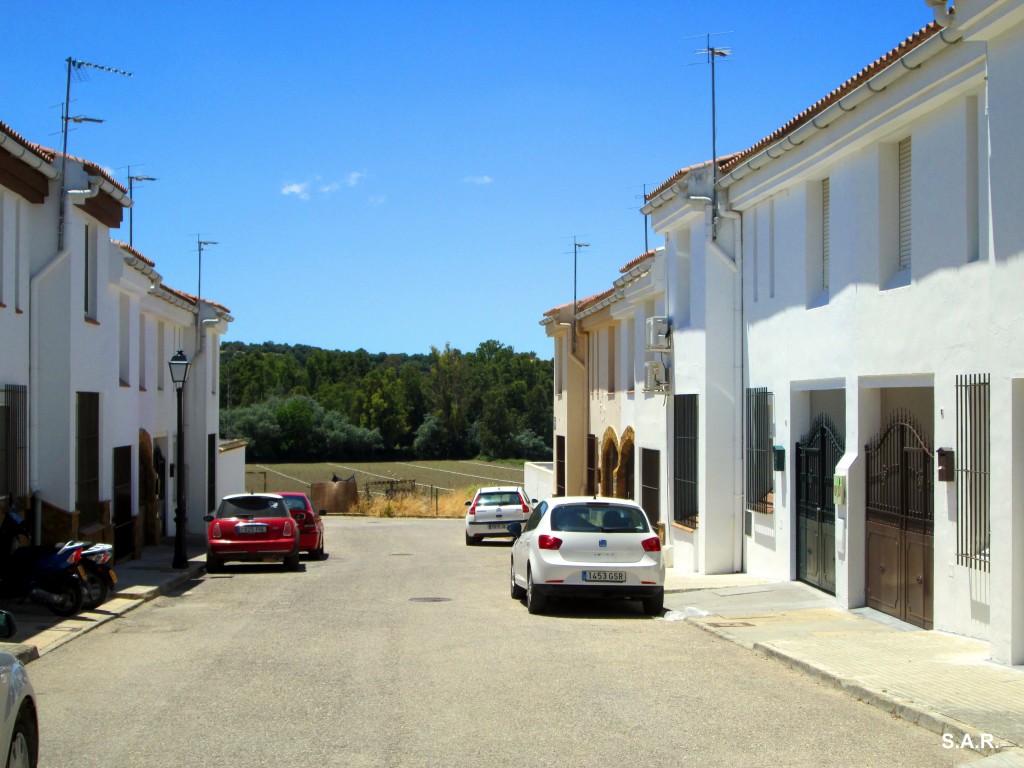 Foto: Calle El Bosque - El Torno (Cádiz), España