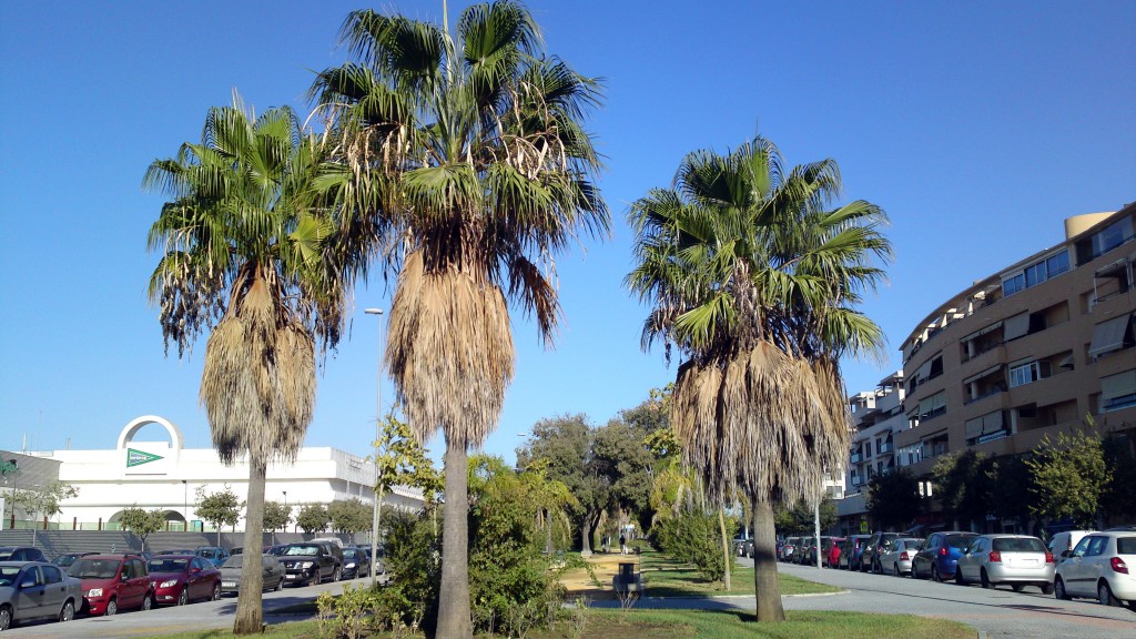 Foto de Jerez (Cádiz), España