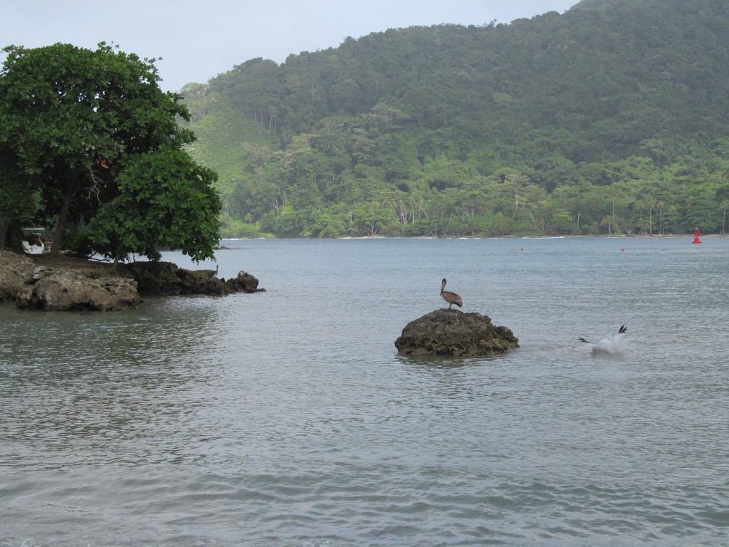 Foto de Sapzurro (Chocó), Colombia