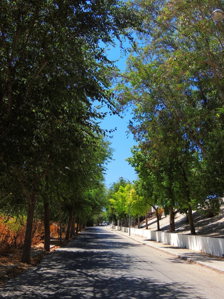 Foto: Avenida Arenal - Trebujena (Cádiz), España