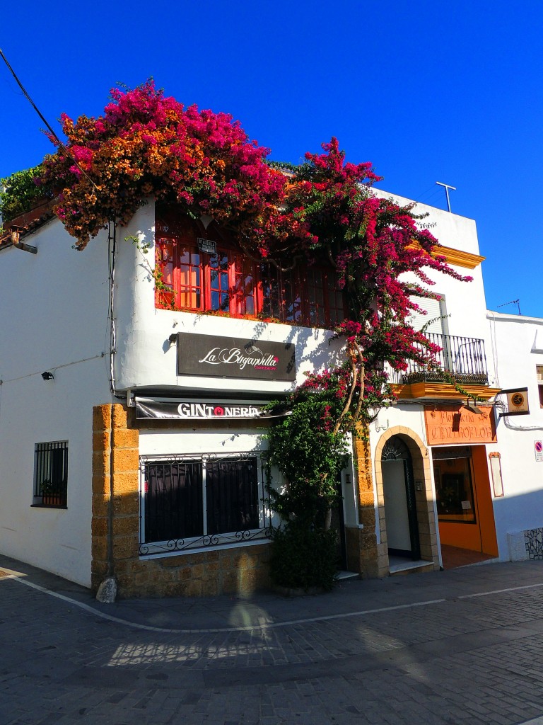 Foto de Conil de la Frontera (Cádiz), España