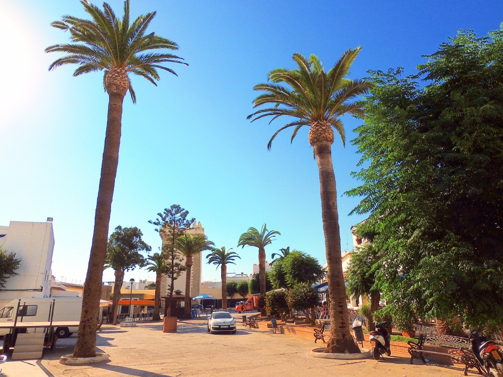 Foto de Conil de la Frontera (Cádiz), España