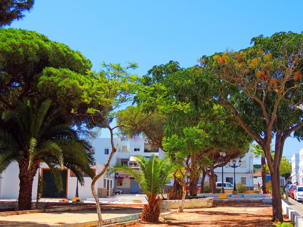 Foto de Barbate (Cádiz), España