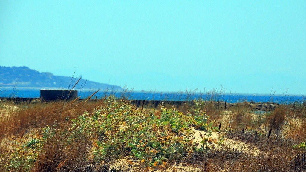 Foto de Barbate (Cádiz), España