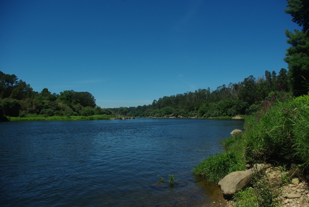 Foto de As Neves (Pontevedra), España