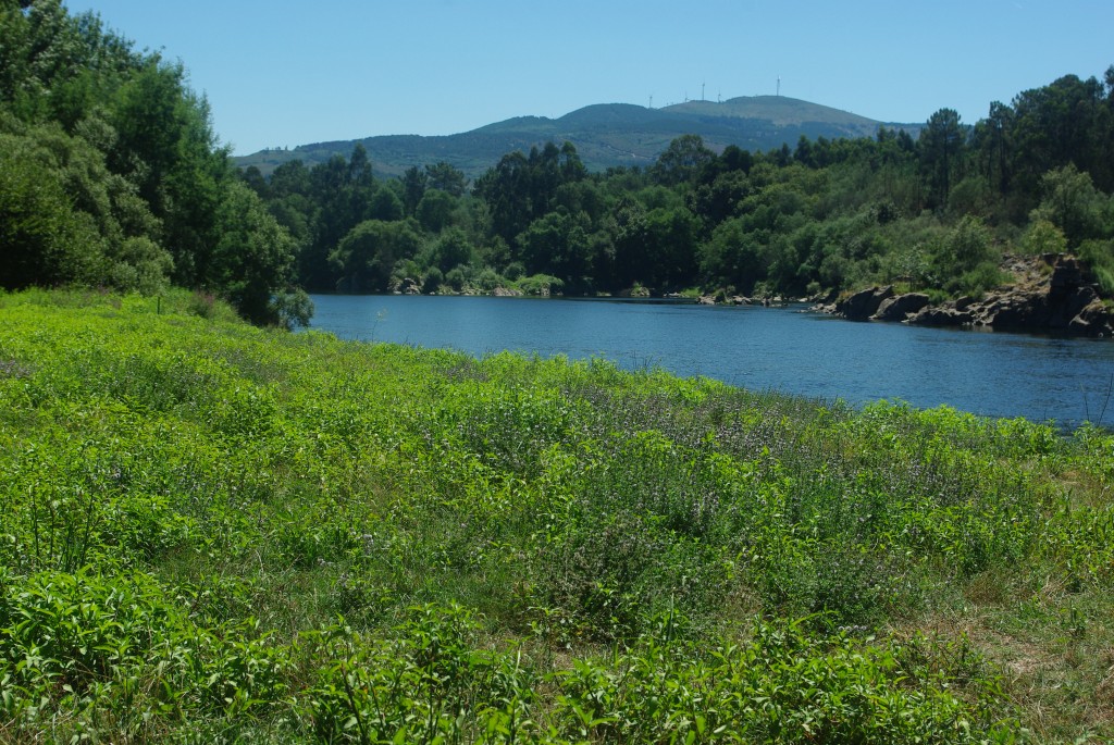 Foto de As Neves (Pontevedra), España