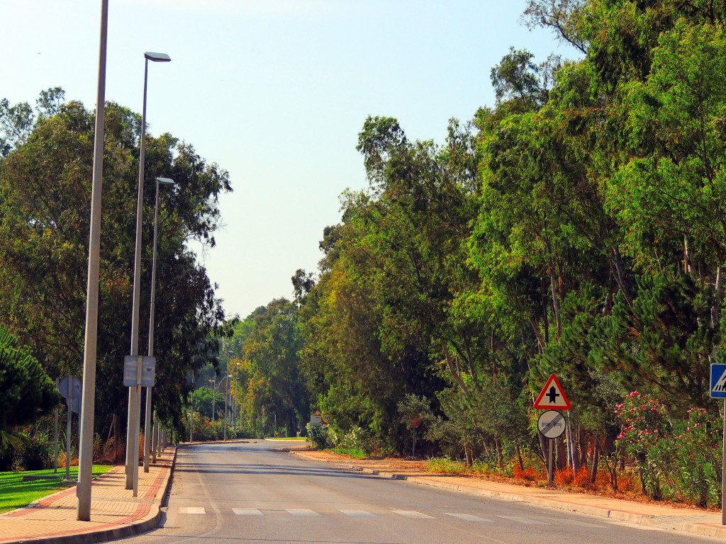 Foto: Avenida Carteia - Guadarranque (Cádiz), España