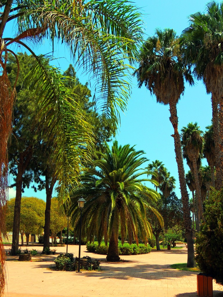 Foto: Paseo Constitución - Los Barrios (Cádiz), España