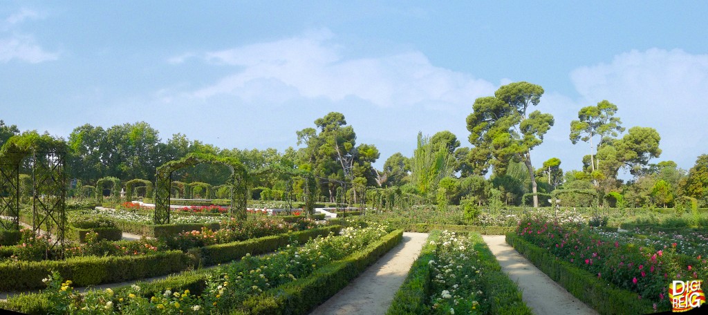 Foto: La Rosaleda del Retiro. - Madrid (Comunidad de Madrid), España