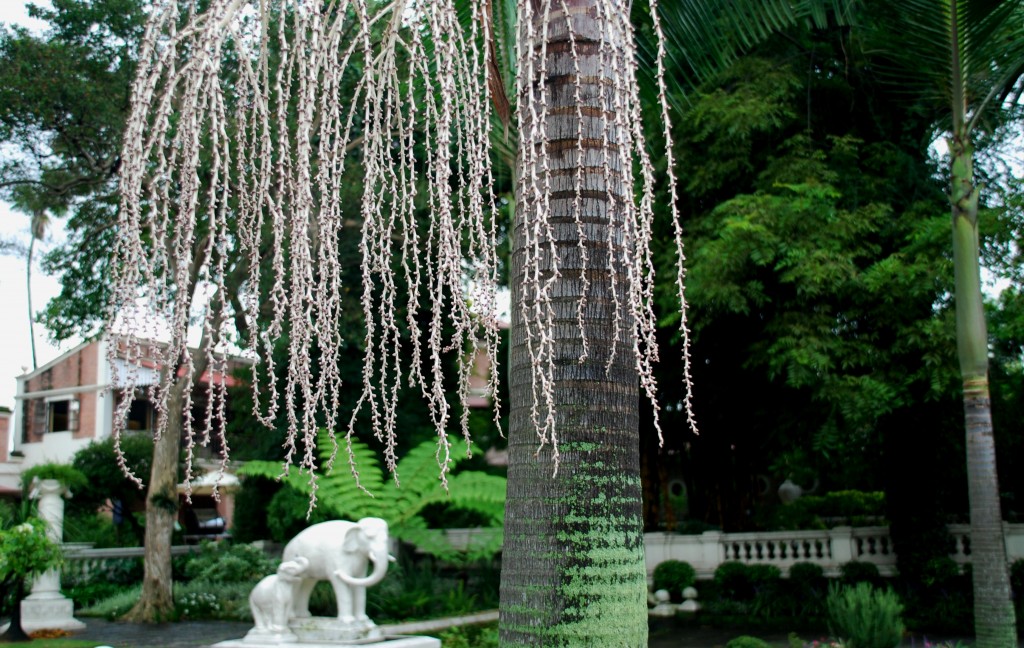 Foto: Jardin de los sueños - Kathmandu, Nepal