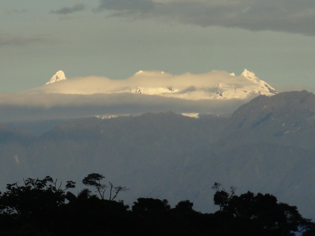 Foto: Los altares - Simón Bolívar (Mushullacta) (Pastaza), Ecuador