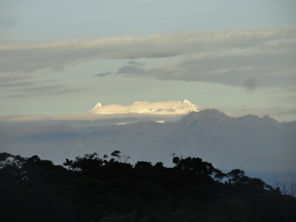 Foto: Los altares - Simón Bolívar (Mushullacta) (Pastaza), Ecuador