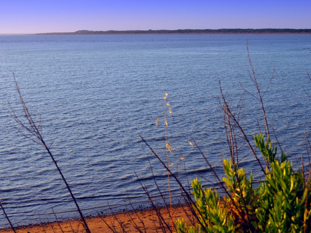 Foto de Sanlucar de Barrameda (Cádiz), España