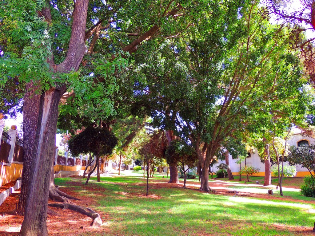 Foto de Sanlucar de Barrameda (Cádiz), España