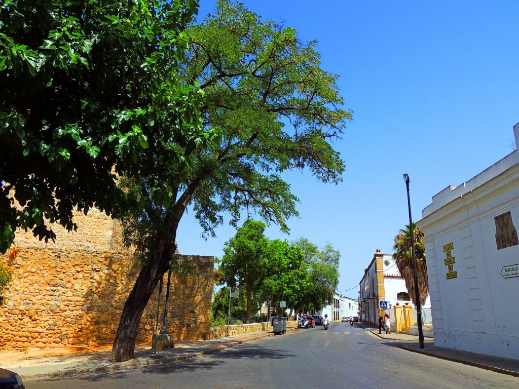 Foto de Sanlucar de Barrameda (Cádiz), España