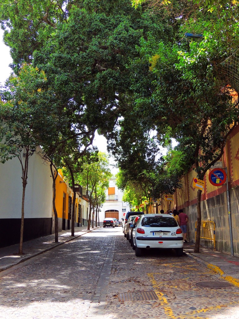 Foto de Sanlucar de Barrameda (Cádiz), España