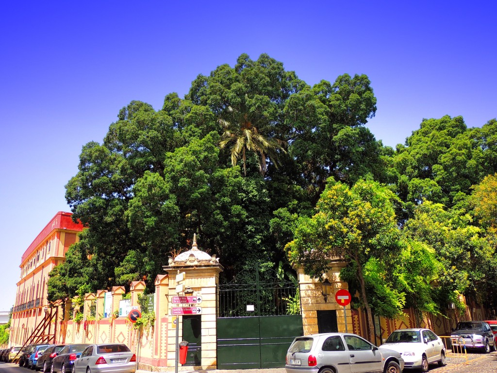 Foto de Sanlucar de Barrameda (Cádiz), España