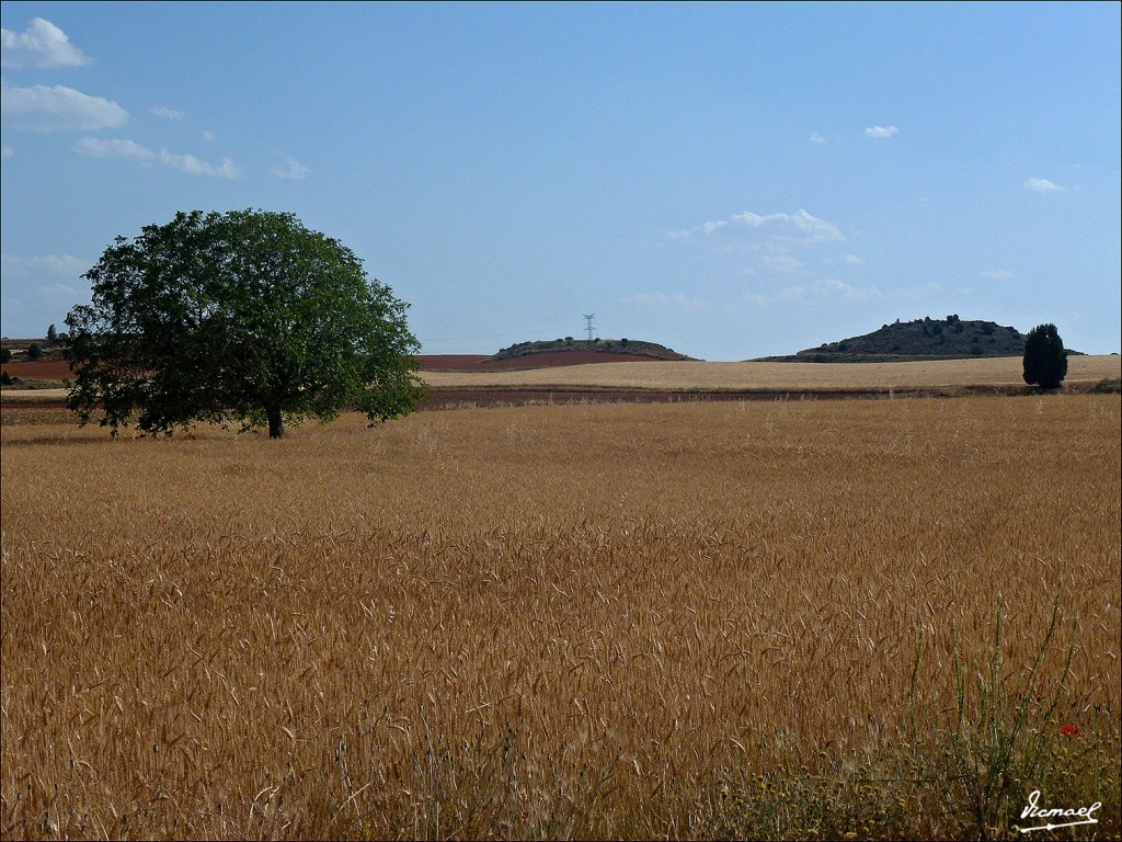 Foto: 130713-14 ALCONCHEL DE ARIZA - Alconchel De Ariza (Zaragoza), España