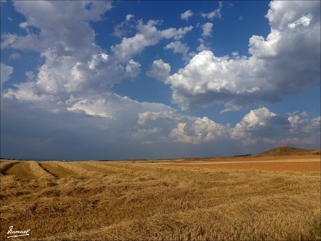 Foto: 130713-17 ALCONCHEL DE ARIZA - Alconchel De Ariza (Zaragoza), España