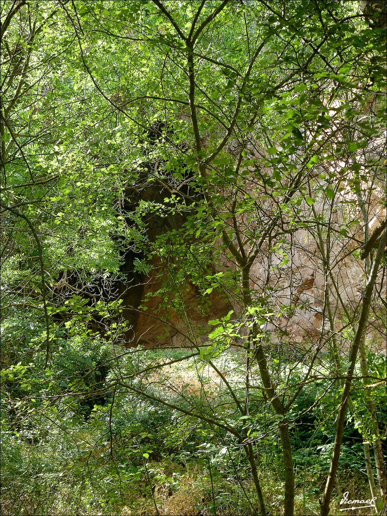 Foto: 130713-32 SOMAEN - Somaen (Soria), España