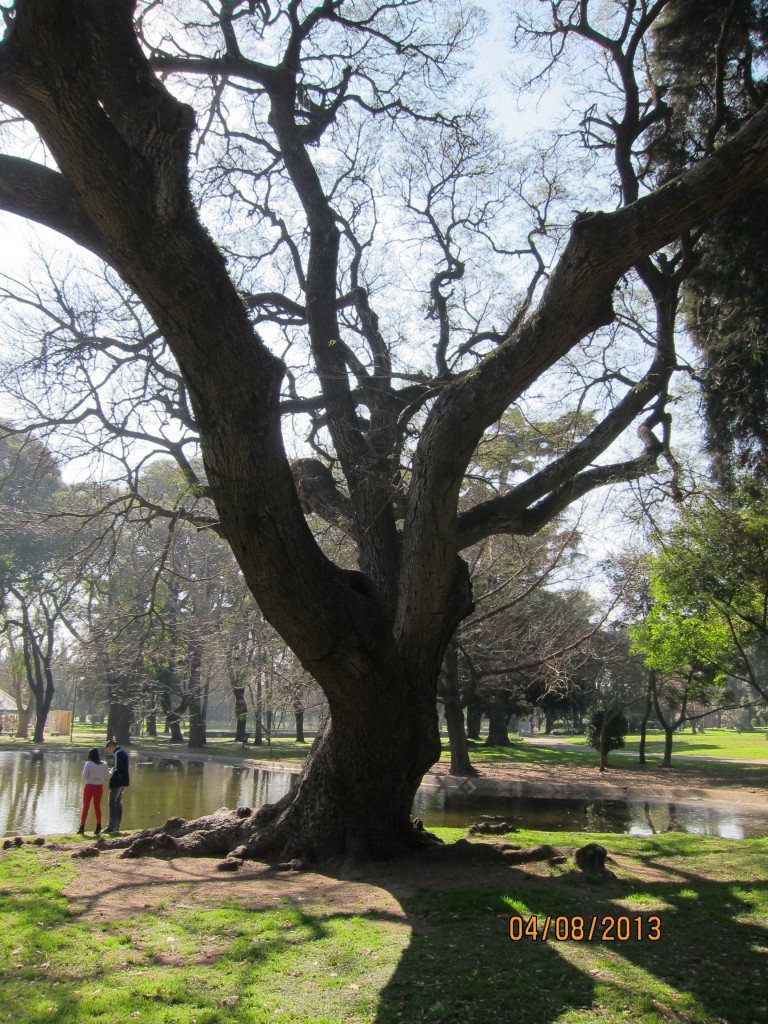 Foto: Parque General Paz - Ciudad Autónoma de Buenos Aires (Buenos Aires), Argentina