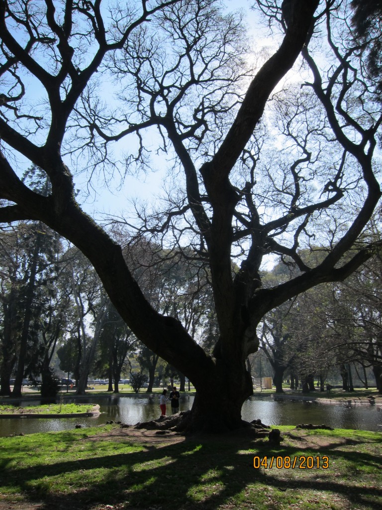 Foto: Parque General Paz - Ciudad Autónoma de Buenos Aires (Buenos Aires), Argentina