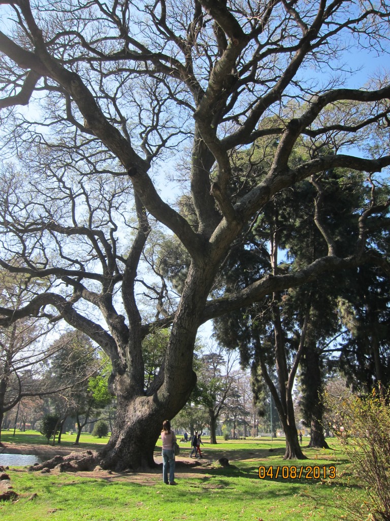 Foto: Parque General Paz - Ciudad Autónoma de Buenos Aires (Buenos Aires), Argentina