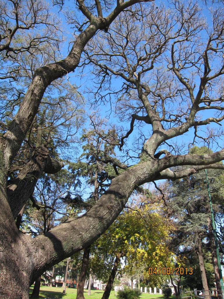 Foto: Parque General Paz - Ciudad Autónoma de Buenos Aires (Buenos Aires), Argentina