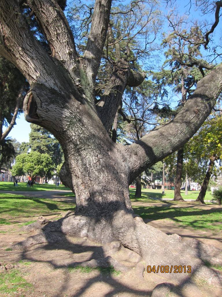 Foto: Parque General Paz - Ciudad Autónoma de Buenos Aires (Buenos Aires), Argentina