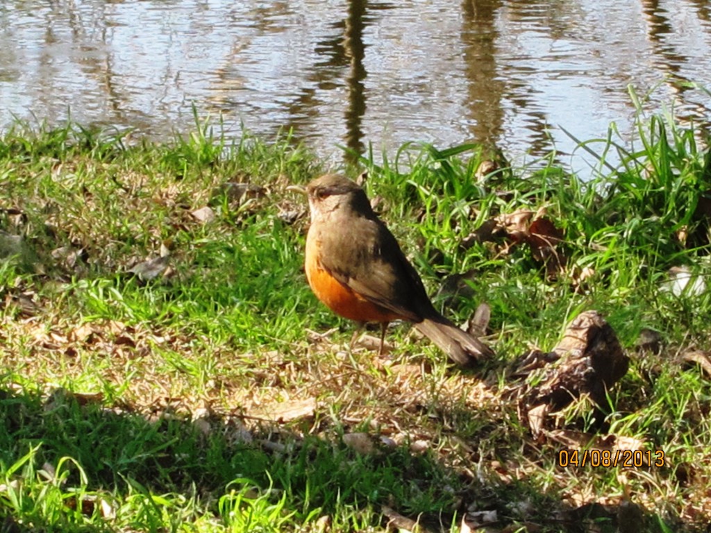 Foto: Parque General Paz - Ciudad Autónoma de Buenos Aires (Buenos Aires), Argentina