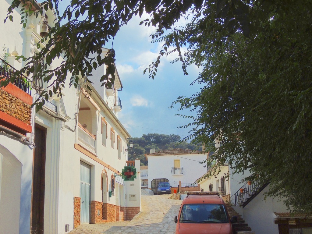 Foto de Setenil de las Bodegas (Cádiz), España