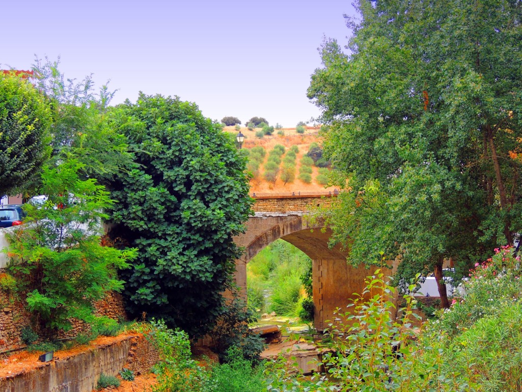 Foto de Setenil de las Bodegas (Cádiz), España