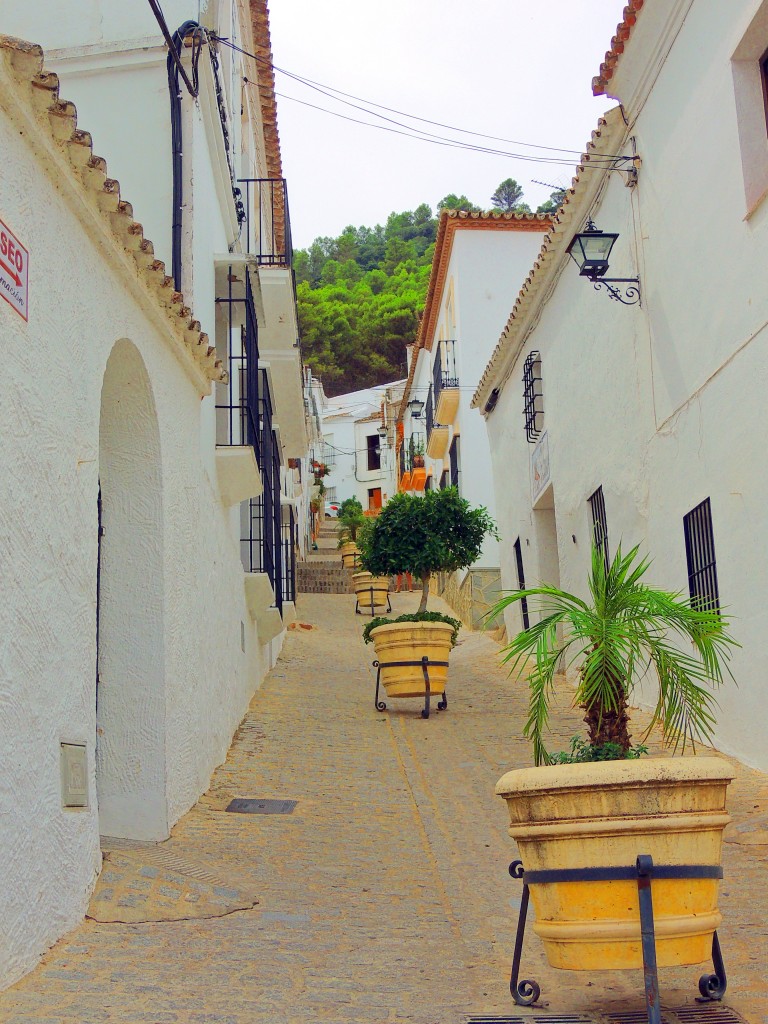 Foto de El Gastor (Cádiz), España