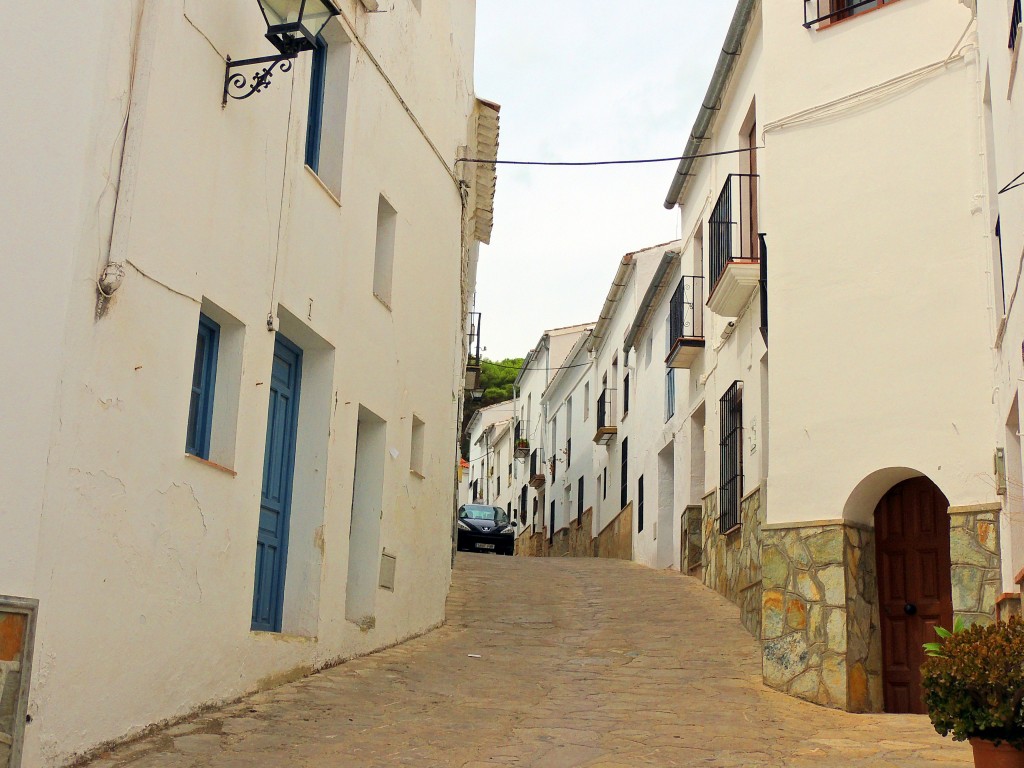 Foto de El Gastor (Cádiz), España