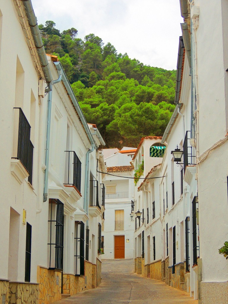 Foto de El Gastor (Cádiz), España