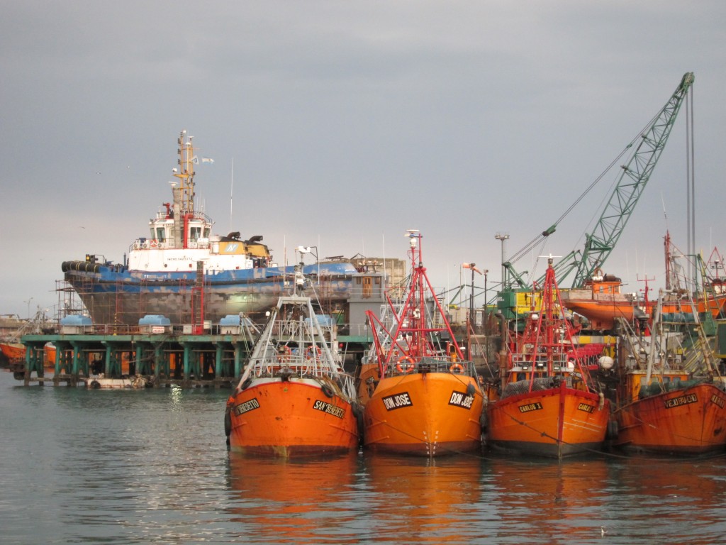 Foto: Puerto - Mar del Plata (Buenos Aires), Argentina