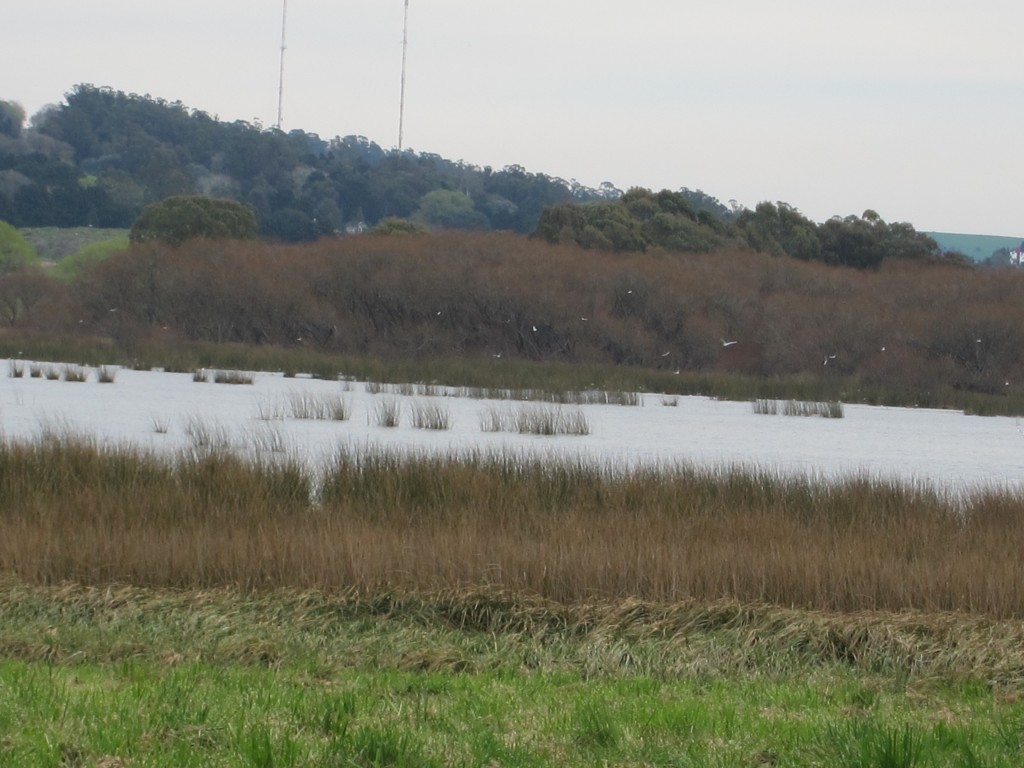 Foto: Laguna de los Padres - Mar del Plata (Buenos Aires), Argentina