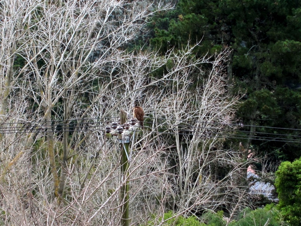 Foto: Sierra de los Padres - Mar del Plata (Buenos Aires), Argentina