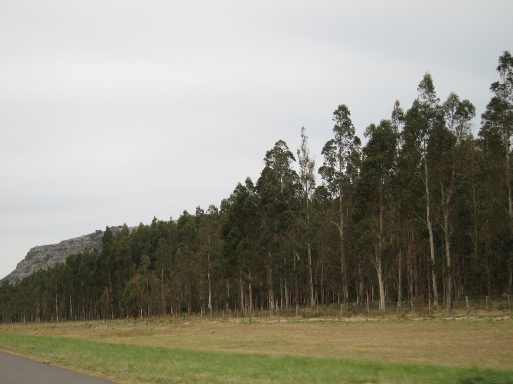 Foto: Sierra de los Padres - Mar del Plata (Buenos Aires), Argentina