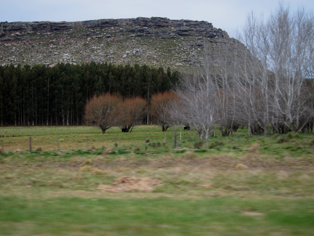 Foto: Sierra de los Padres - Mar del Plata (Buenos Aires), Argentina