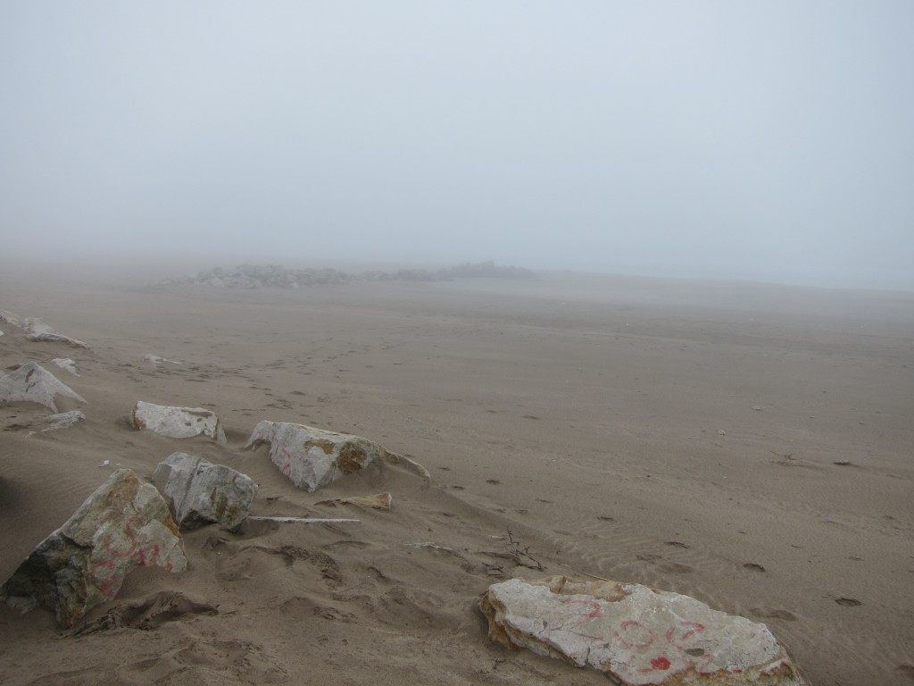 Foto de Mar Chiquita (Buenos Aires), Argentina