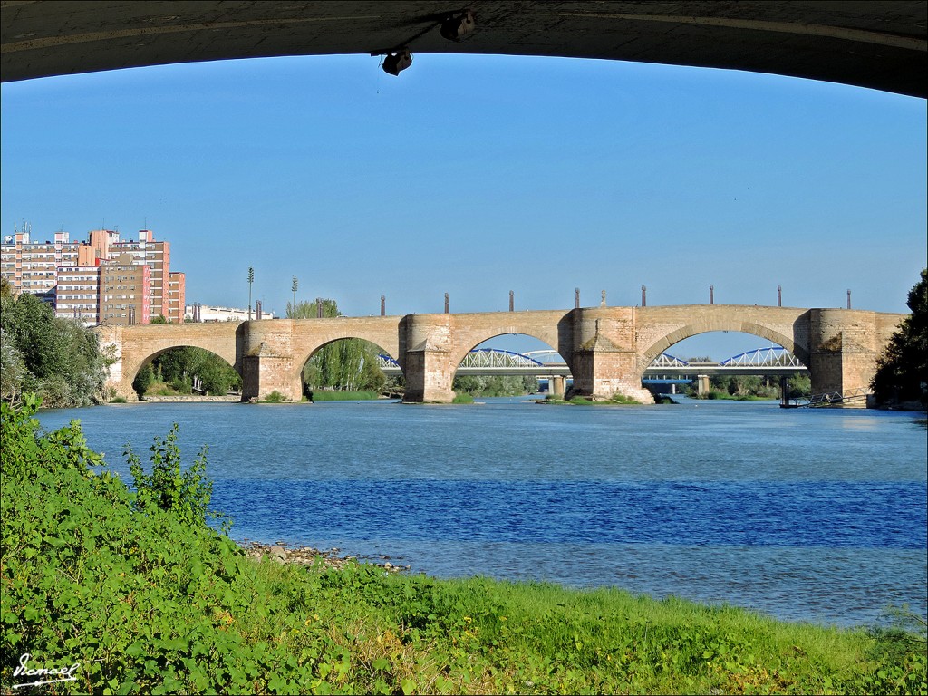 Foto: 130916-52 PUENTE DE PIEDRA - Zaragoza (Aragón), España