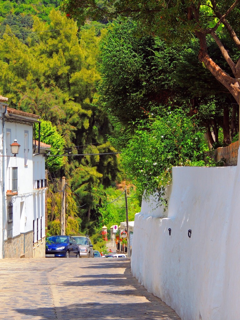 Foto de Benamahoma (Cádiz), España