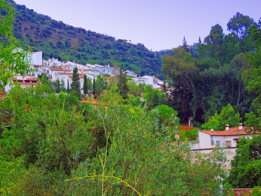 Foto de Benamahoma (Cádiz), España