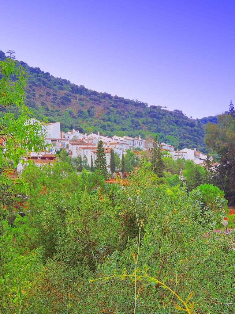 Foto de Benamahoma (Cádiz), España