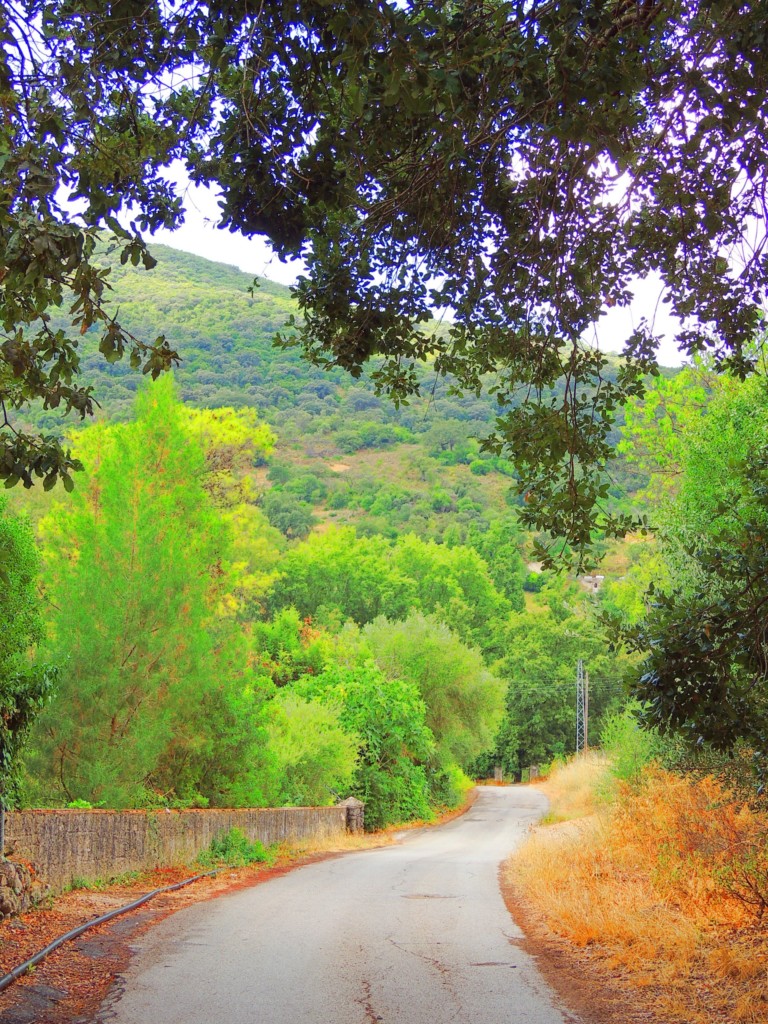 Foto de Benamahoma (Cádiz), España