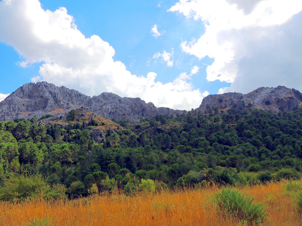 Foto de Grazalema (Cádiz), España