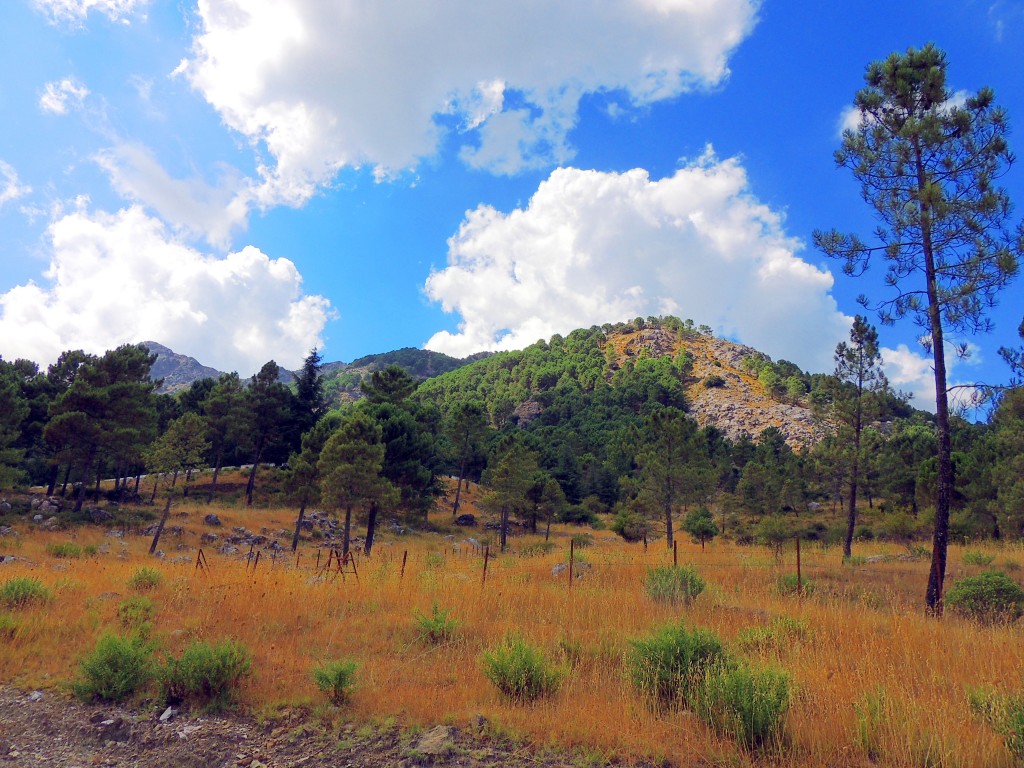 Foto de Grazalema (Cádiz), España