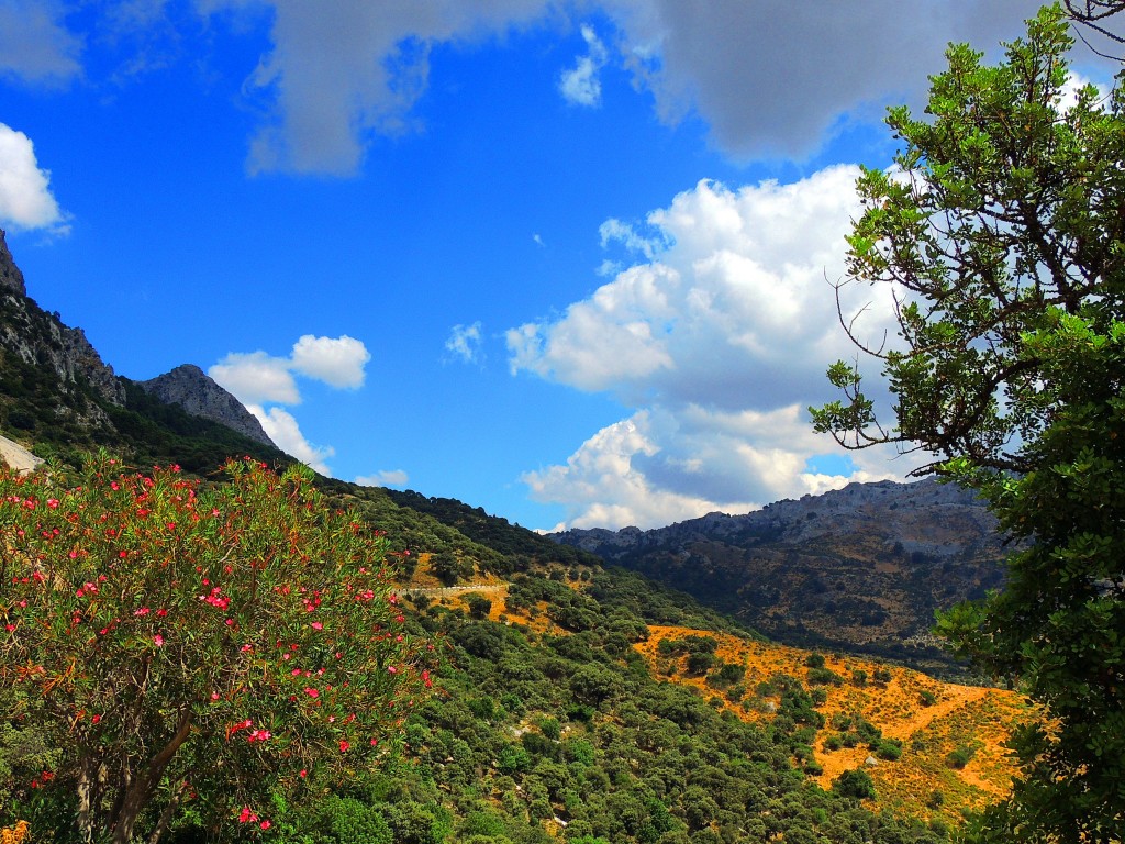 Foto de Grazalema (Cádiz), España